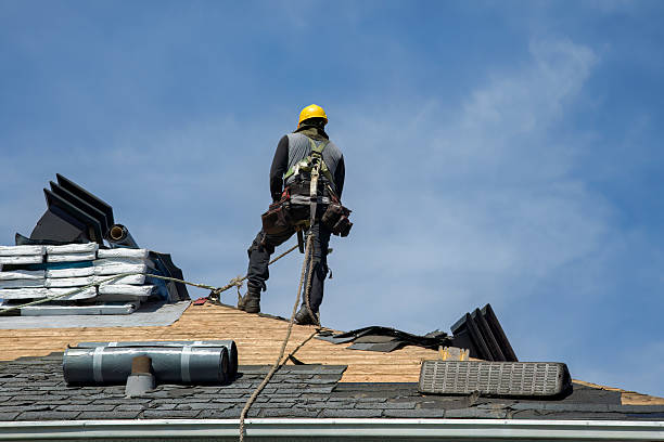 Professional Gutter Installation technician working in Hardwick, GA